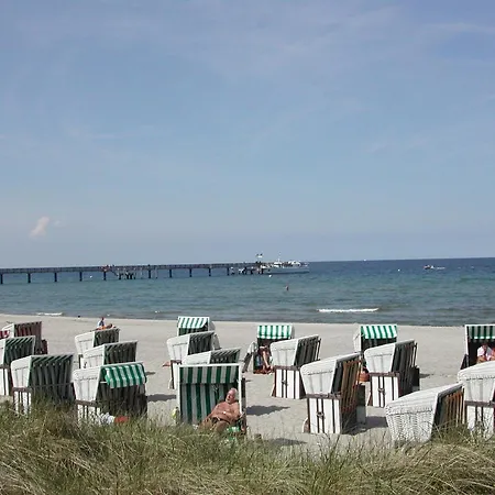 Schnitterkarten - Abc366
